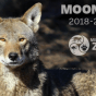Zoo lamenta la muerte del lobo rojo Moon&nbsp;Pie