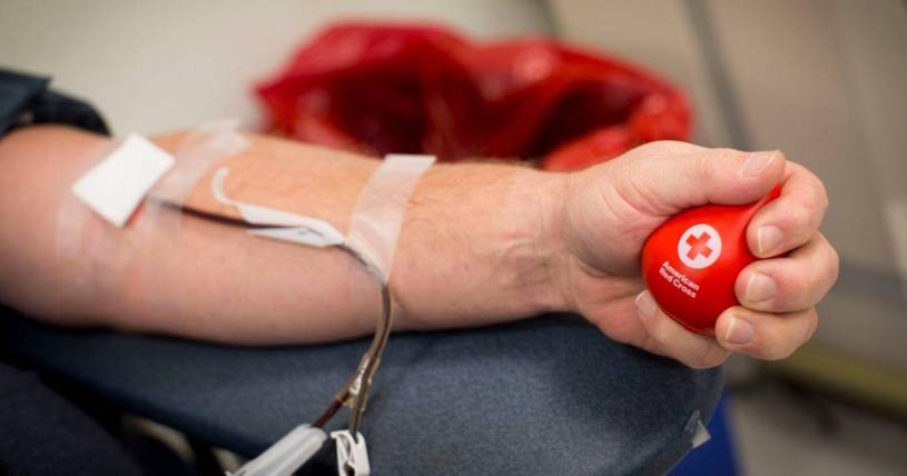 Una mano sosteniendo una pelota de la cruz roja. En el brazo tiene una aguja y tubo de donacion de sangre.